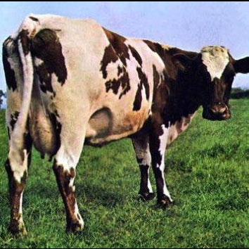 Big One – The European Pink Floyd Show (Part 2: The Early Years) 24/02/2013 23.00