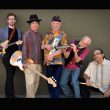 Concerto Grandmothers of Invention - Maggio 2018 - Milano